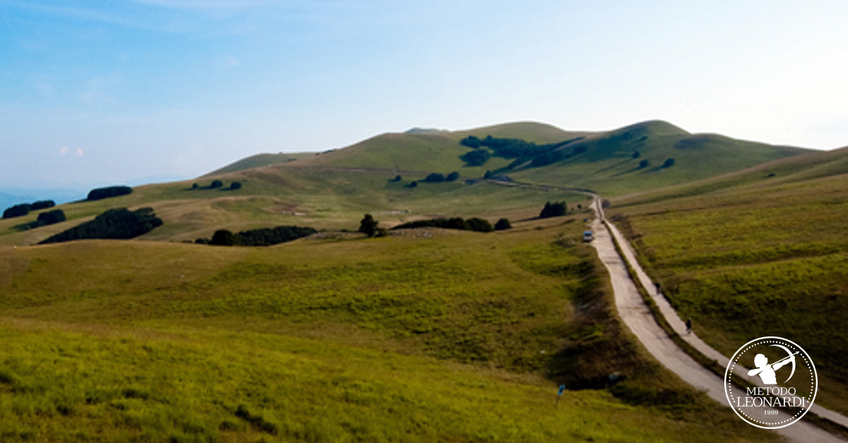 Viaggiare per studiare bene