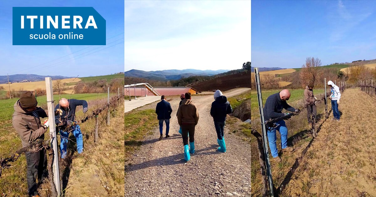 Una giornata in azienda agricola